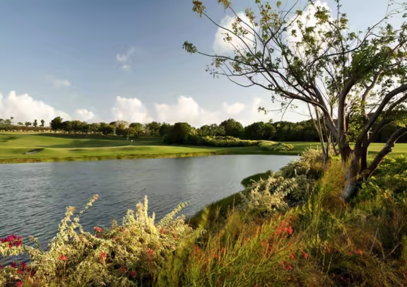 Golf photo 2